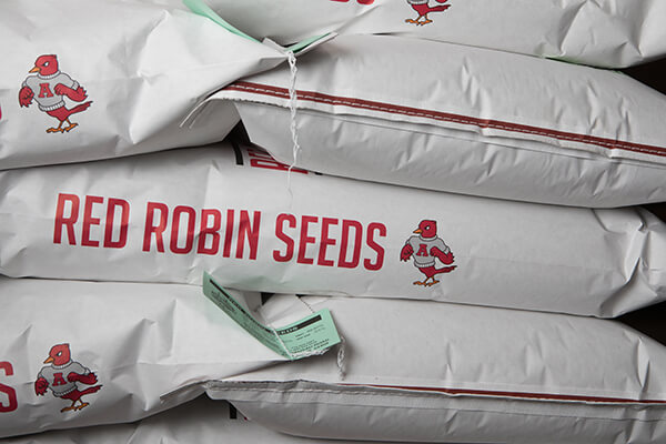 Red Robin - 15 seeds